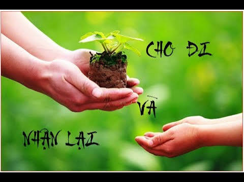 Cho Đi Là Còn Mãi